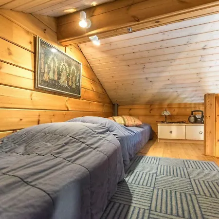 Pikkuvinnari Икаалинен